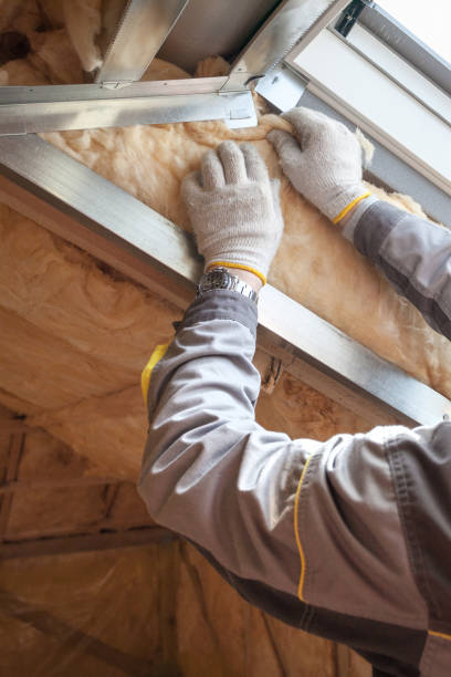 Professional Insulation Contractor in Decatur, MI